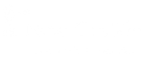 NewGestión — Consultoría de Negocios